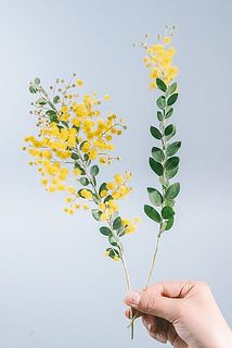 花付きには個体差があります。