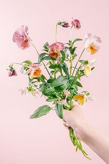 開花具合、花の大きさには個体差があります。