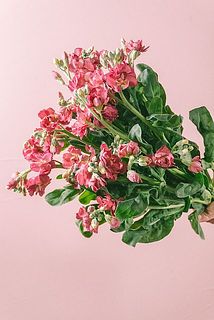 ストックお届け例