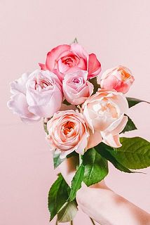 バラお届け一例（品種は毎回異なります）