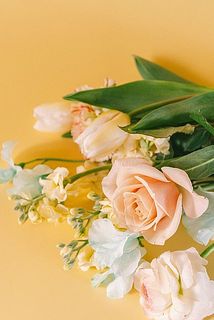 お部屋でのリラックスタイムにおすすめ。