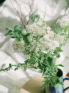 ふんわり、うららかな春の日差しのよう☀️