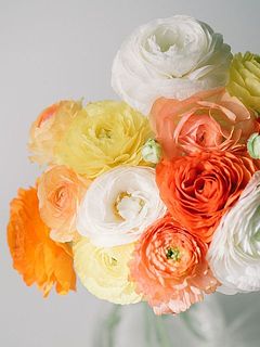 開花イメージ。