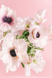 ふんわり柔らかな美しさ🤍