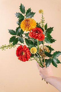 お届けイメージ