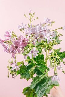 色味には個体差がございます。