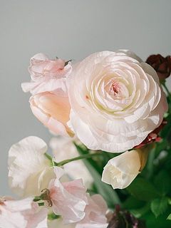 ラナンキュラスがふわふわ😍