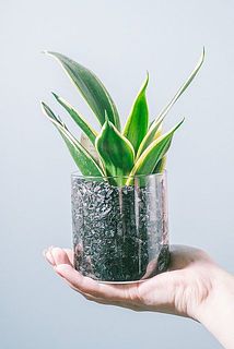 小さいサイズ感が飾りやすい。