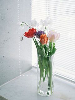 シンプルなシリンダー型のフラワーベースと相性◎