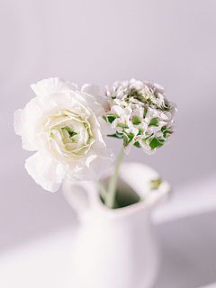 同じ品種でも個体差がございます。