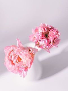 同じ品種でも個体差がございます。