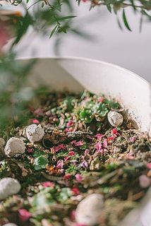 花弁が落ちている場合がございます。