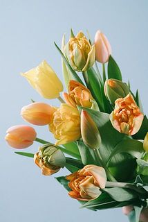 八重咲きは開花しやすい特性があります。お届けまでに満開になっている可能性も。