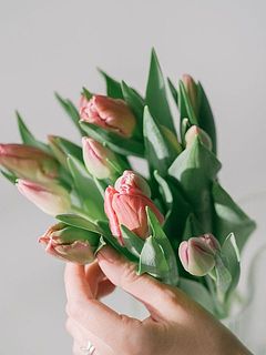 硬いつぼみの状態で届くものも。だんだんと色づいていく様子も楽しめます。