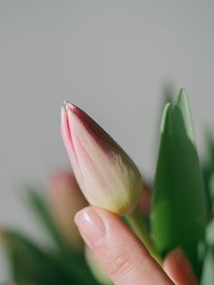 シルクのようなつややかさ。