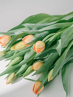 たっぷり14〜15本。届くチューリップはおまかせとなるため、商品ページ内の写真と異なるイメージのものが届く場合がございます。