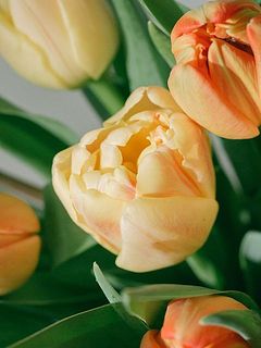 自然と気分が明るくなるカラーリング🌞