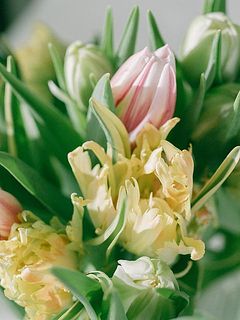 毎回新たな発見があるかも！