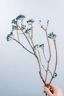 葉や実のつき方には個体差がございます。