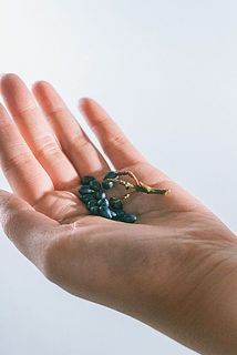 配送の揺れで実が落ちる場合がございます。ご了承ください。