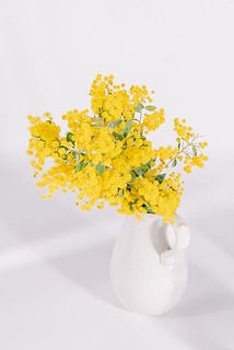 お届けイメージ