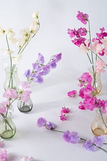 小瓶に色別に飾ってもかわいい🩷