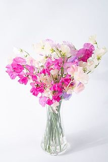 どさっとシンプルに飾るのがおすすめ🌷