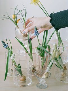 内容は毎回異なります。