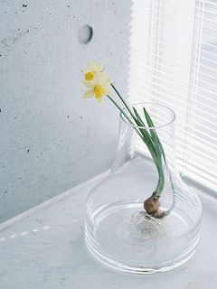 背の高い花はファゴットなど大きめのフラワーベースに入れても😍