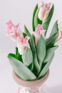 淡いピンクが可愛い🩷