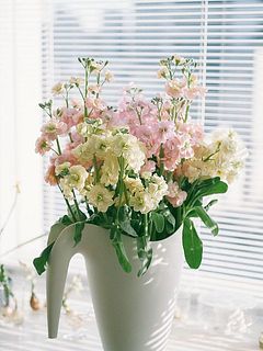 なんと5本でこのボリューム！