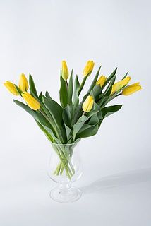 使用花器：ドロップベース