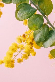 蒸れにより一部変色してしまうことがございます。ご了承ください。