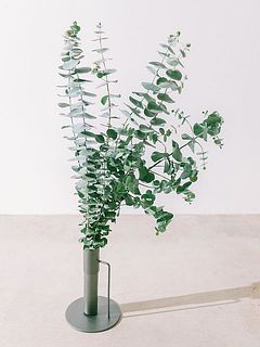 5本お届けします。