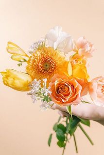 お届け例（内容は毎回異なります）