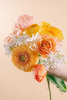 お届け例（内容は毎回異なります）