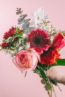 お届け例（内容は毎回異なります）