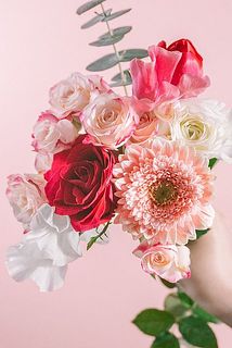 お届け例（内容は毎回異なります）