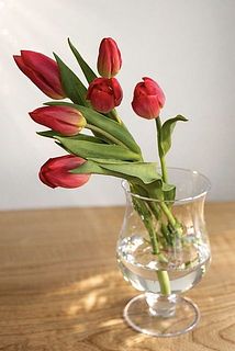 花器に飾ったイメージ。ドロップベースとの相性ばつぐんです✨