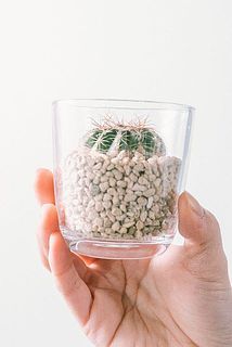 容器はガラスです、ご注意ください。