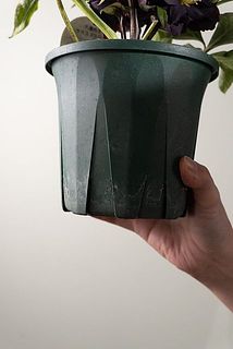 鉢が汚れている場合がございます。気になる場合は優しく拭いてください。