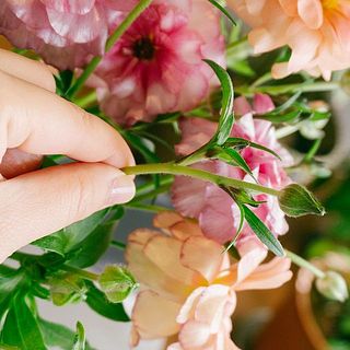 葉や蕾が一部黒いのは、元々の特性です。