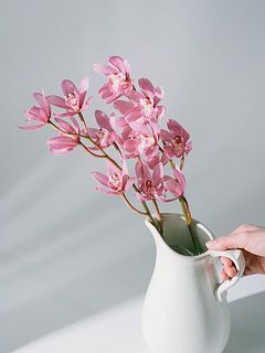 シンビジウム「ありがとう」を2本お届けします。