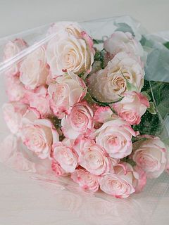 ボリュームたっぷりでお届けします。