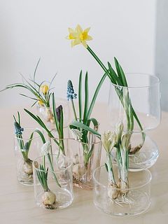 内容は毎回異なります。