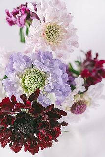 色味はおまかせになります✨