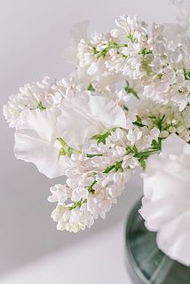 花の一部が茶色くなる場合がございます。特性となりますので気になる方は取り除きましょう