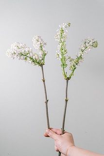 花付きには個体差があります