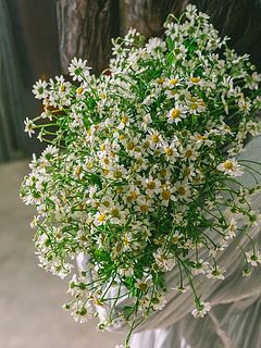 抱えるくらいの圧倒的なボリューム感😍