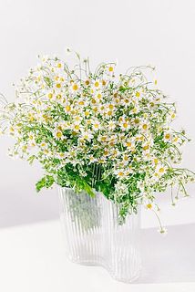 ラフに飾るのがおすすめです。